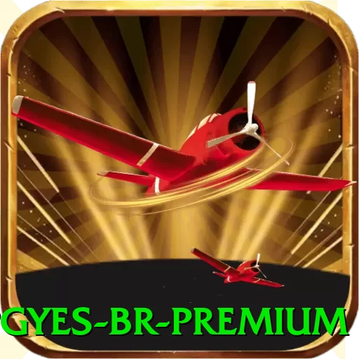 pgyes BR Premium - go