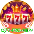 q77 Pro New